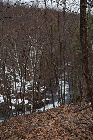 Winter Stream - NHP223 Winter Stream - NHP223